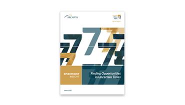 2017 Investment Insight